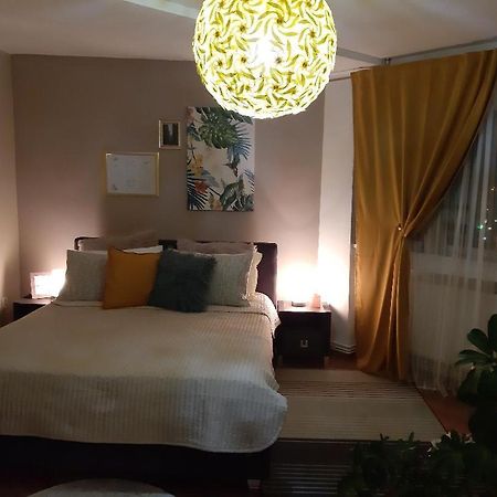 Alba House Apartment อัลบายูเลีย ภายนอก รูปภาพ